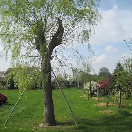 Haus Am Park Nahe Eilenburg Wurzen Thallwitz