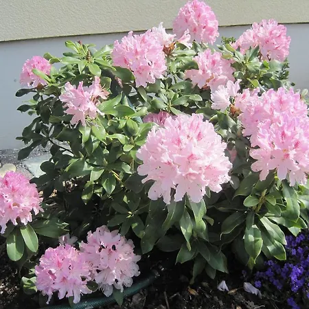 Haus Am Park Nahe Eilenburg Wurzen