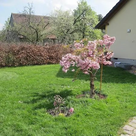 Apartment Haus Am Park Nahe Eilenburg Wurzen *
