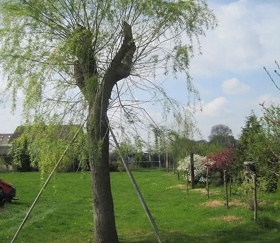 Haus Am Park Nahe Eilenburg Wurzen Thallwitz