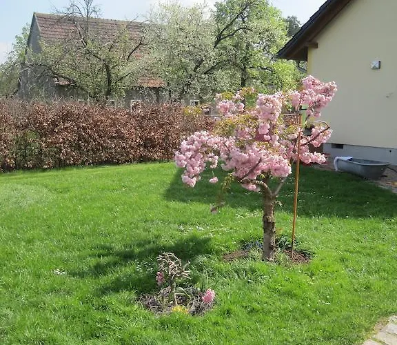 Apartment Haus Am Park Nahe Eilenburg Wurzen *